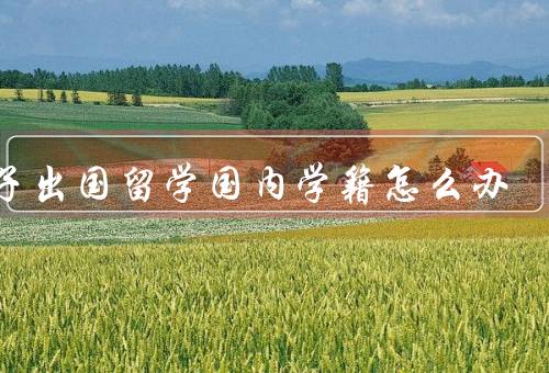 孩子出国留学国内学籍怎么办