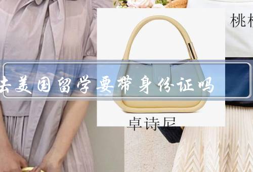 去美国留学要带身份证吗（在美国的作用／备份的重要性）