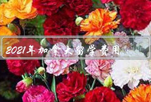 2021年加拿大留学费用，留学费用组成、学费水平、生活费预估