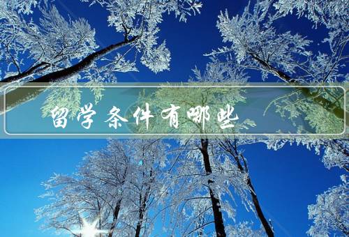 专科俄罗斯留学条件有哪些，语言要求／学历要求／经济要求