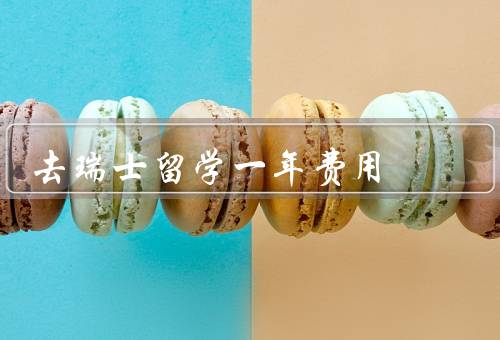 去瑞士留学一年费用（组成、大致范围、如何降低）