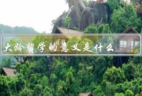 大龄留学的意义是什么，提升个人素质和能力
