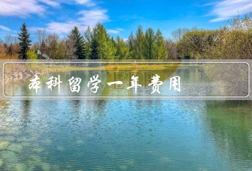 俄罗斯本科留学一年费用，学费、生活费、其他费用