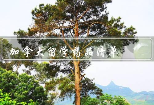 加拿大留学药品清单（加拿大留学药品清单、药品携带注意事项）