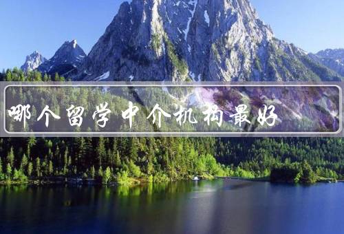 哪个留学中介机构最好，专业服务／个性化定制／细致周到