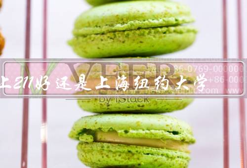 上211好还是上海纽约大学（学校声誉／学科设置／国际化程度）