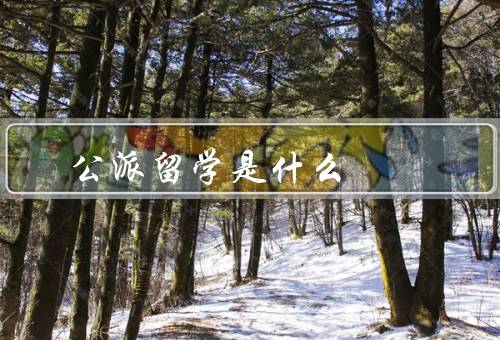 公派留学是什么（意义、申请流程、注意事项）