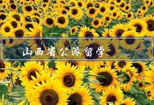 山西省公派留学（条件、流程、意义）