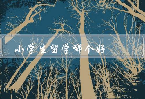 小学生留学哪个国家好（教育质量、课程设置、文化环境）