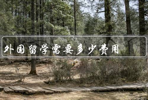 外国留学需要多少费用，留学费用／签证费用／保险费用