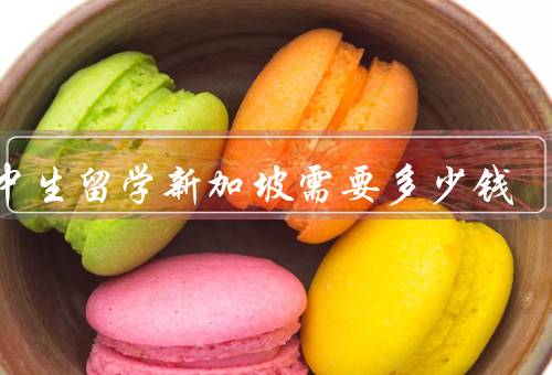 初中生留学新加坡需要多少钱（学费、生活费、住宿费）