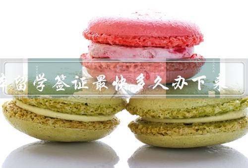 日本留学签证最快多久办下来，材料准备／递交申请／审核和办理