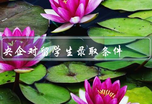 央企对留学生录取条件，录取条件／学术背景／专业能力