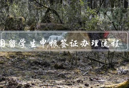 英国留学生申根签证办理流程（申请材料准备／预约面试）