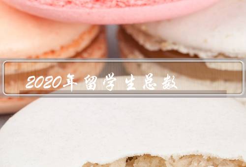 2020年留学生总数（中国留学生总数、亚洲留学生总数）