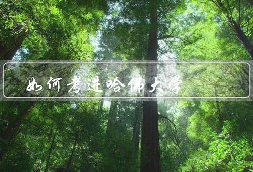 如何考进哈佛大学，了解哈佛大学、取得优秀的学业成绩