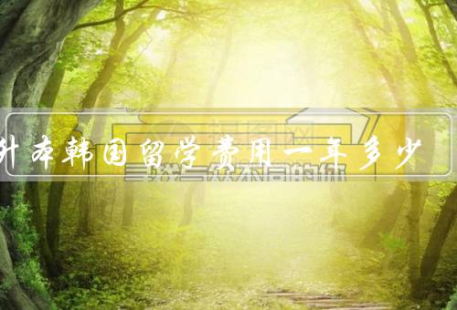 专升本韩国留学费用一年多少，学费／生活费／其他费用