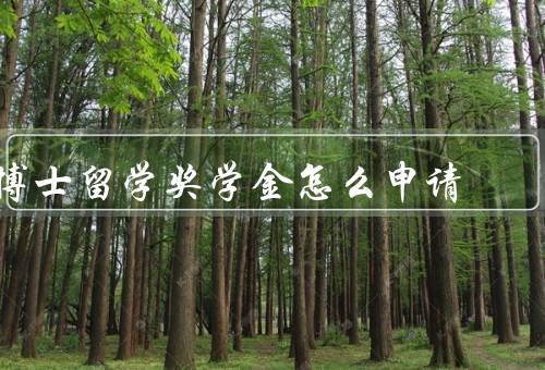 博士留学奖学金怎么申请，申请材料准备／选择合适的奖学金项目