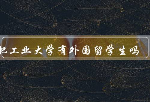 合肥工业大学有外国留学生吗，数量／学习情况／生活支持