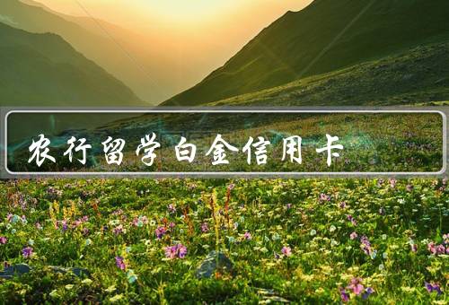 农行留学白金信用卡，信用卡申请便捷、海外取现便利