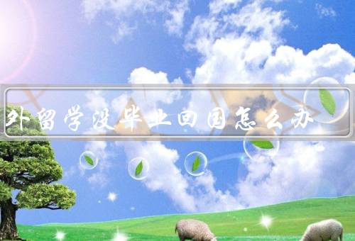 国外留学没毕业回国怎么办（找到适合自己的工作／继续学业深造）
