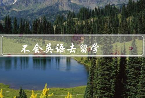 不会英语去留学，语言障碍、文化差异、寻求帮助