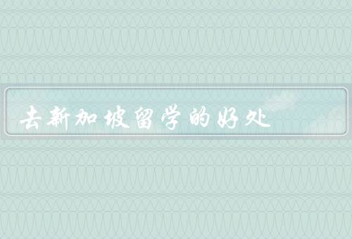 去新加坡留学的好处（学习环境、教育质量、就业机会）