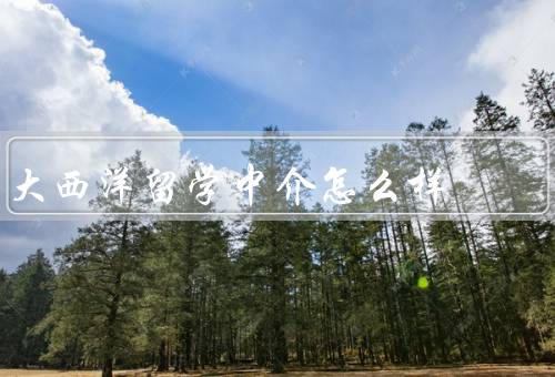 大西洋留学中介怎么样（专业的团队、个性化的服务、周到的服务）