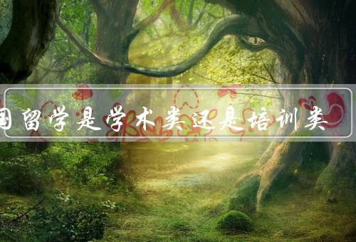 出国留学是学术类还是培训类（学术类、培训类、学术与培训的结合）