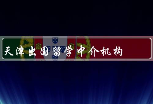 天津出国留学中介机构（服务范围广泛、专业团队、良好的口碑）