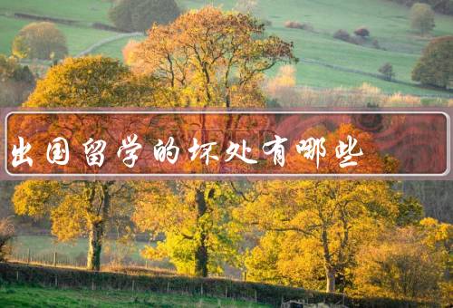出国留学的坏处有哪些，语言障碍／文化差异／经济压力
