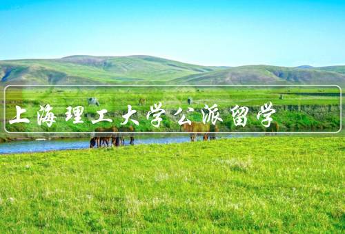 上海理工大学公派留学（公派留学项目、条件、流程）