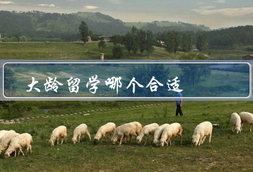 大龄留学哪个国家合适，留学费用／教育质量／社会环境