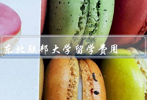 俄罗斯东北联邦大学留学费用，留学费用、住宿费用、其他费用