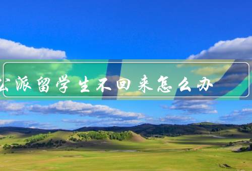 公派留学生不回来怎么办（公派留学生选择不回来的原因）