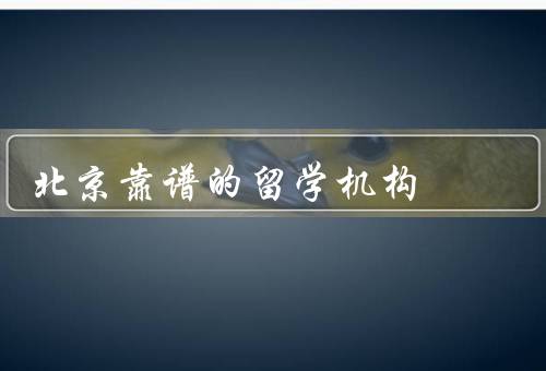 北京靠谱的留学机构，中心／教育咨询中心／之家