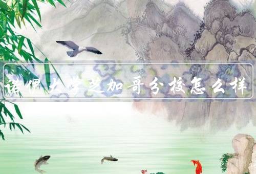 伊利诺伊大学芝加哥分校怎么样，教学质量、校园环境、研究资源