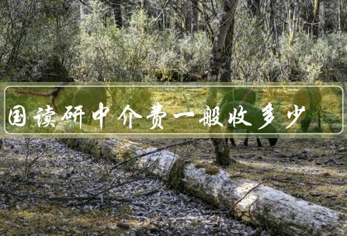 出国读研中介费一般收多少，构成／收费标准／参考范围