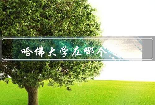 哈佛大学在哪个国家（历史与背景／学术声誉／校园生活与文化）