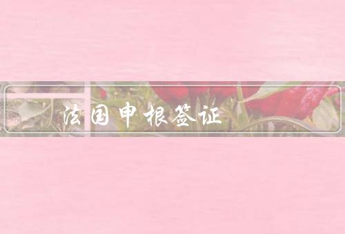 法国申根签证照片，照片要求、注意事项、结语