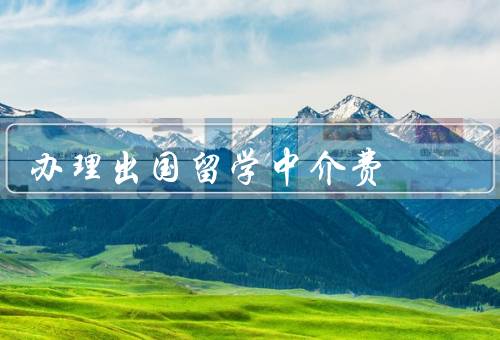 办理出国留学中介费，定义、作用、注意事项
