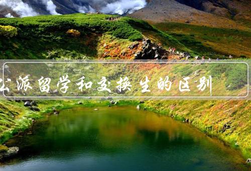 公派留学和交换生的区别，公派留学、交换生、总结