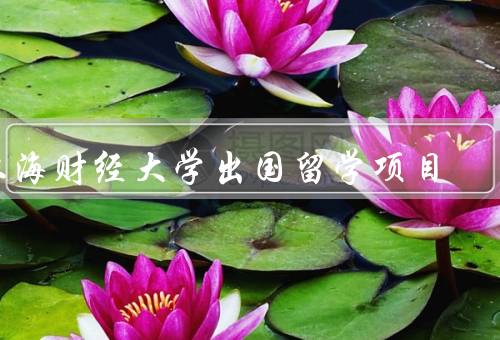 上海财经大学出国留学项目，概述／申请流程／收益