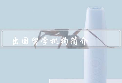 出国留学机构简介（作用、服务内容、选择需要注意事项）