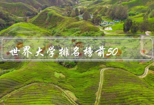 世界大学排名榜前50（麻省理工学院、斯坦福大学、哈佛大学）