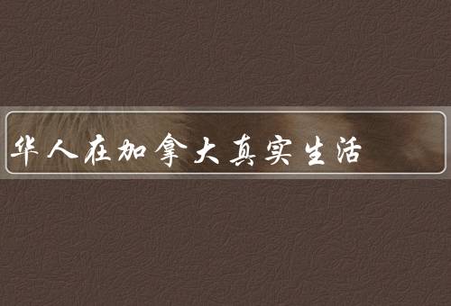 华人在加拿大真实生活（教育与职业、社区与文化、生活方式与传统）