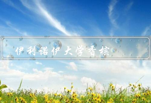 伊利诺伊大学香槟，学术氛围浓厚、丰富的校园生活、国际化教育
