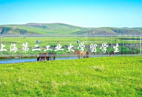 上海第二工业大学留学生（人数／支持与服务／就业前景）