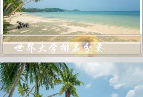 世界大学排名分类，综合排名／学科排名／地区排名