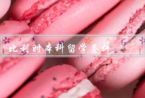 比利时本科留学条件，留学签证／语言要求／入学要求